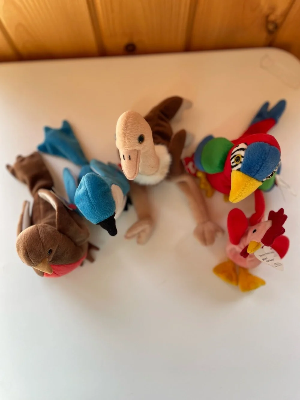 5 Vintage Ty Beanie Babies Birds  - Jabber, Rocket, Early, Stretch, Teenie Strut